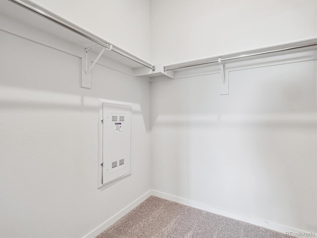 485 Interlocken Blvd Unit 101, Broomfield, CO 80021 - spacious closet with carpet flooring and electric panel