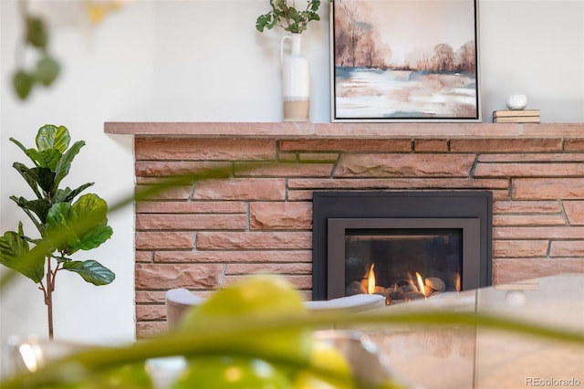 details featuring a stone fireplace