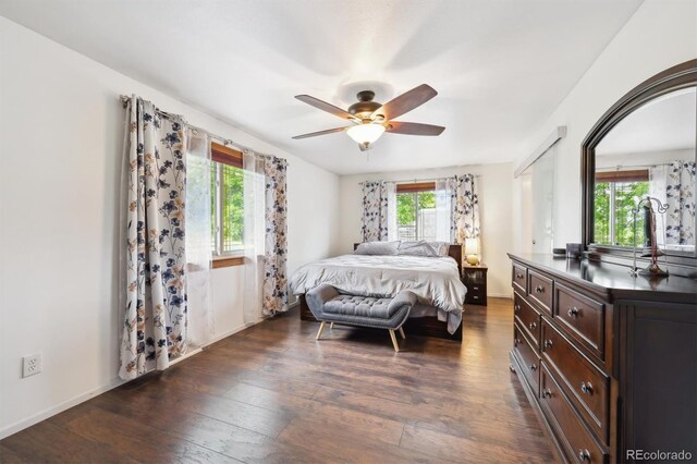 8397 Chase Dr, Arvada, CO 80003 - photo 16