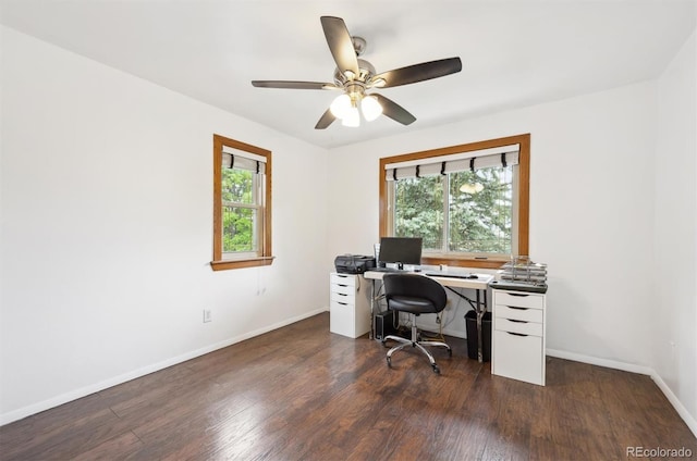 8397 Chase Dr, Arvada, CO 80003 - photo 23