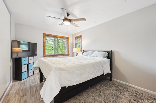 8397 Chase Dr, Arvada, CO 80003 - photo 24