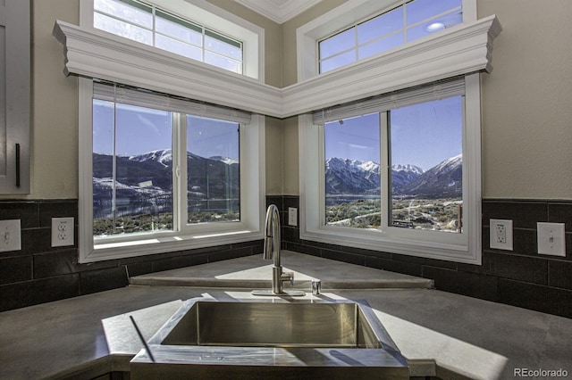 room details with a mountain view, sink, and crown molding