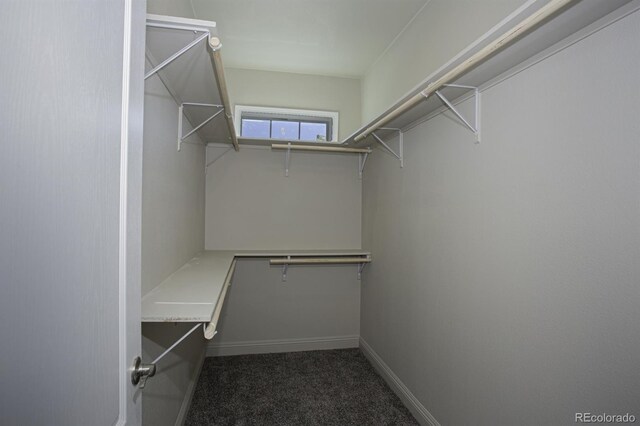 368 Mount Hope Dr, Twin Lakes, CO 81251 - photo 22