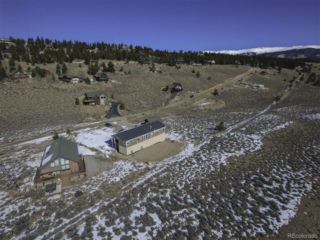 368 Mount Hope Dr, Twin Lakes, CO 81251 - photo 48