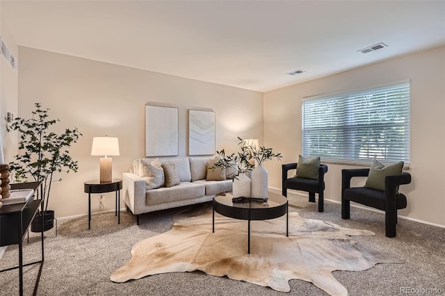 5511 S Lowell Blvd, Littleton, CO 80123 - living room featuring carpet flooring and baseboards