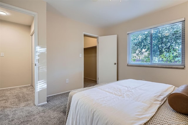 5511 S Lowell Blvd, Littleton, CO 80123 - bedroom with carpet flooring, a spacious closet, and a closet