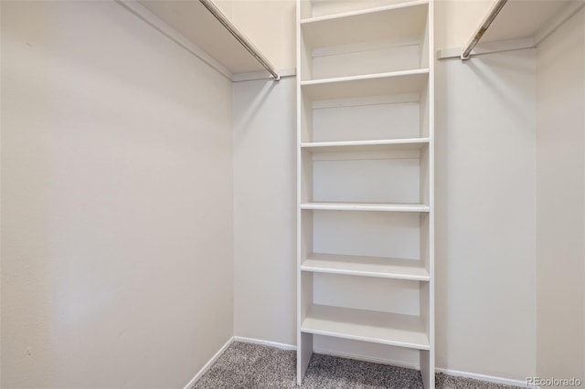 5511 S Lowell Blvd, Littleton, CO 80123 - walk in closet with carpet flooring