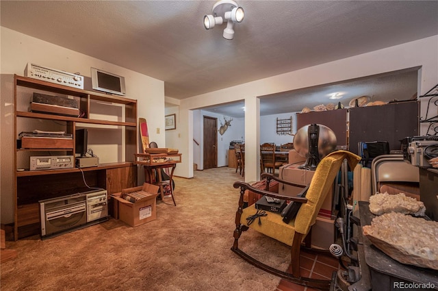 living area featuring carpet floors and a textured ceiling