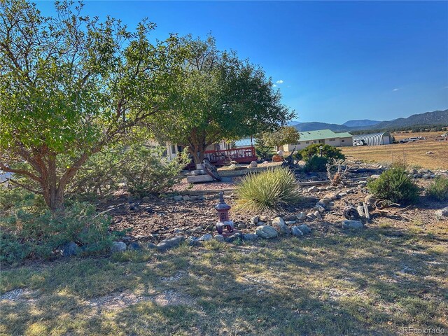 view of yard featuring a mountain view