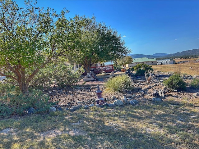 13440 County Rd 45, Coaldale, CO 81222 - view of yard featuring a mountain view