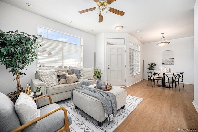 living room with ceiling fan and light hardwood / wood-style flooring