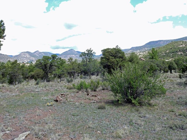 222 La Lomita Cir, South Fork, CO 81154 - photo 2