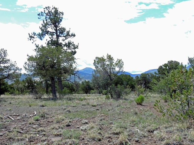 222 La Lomita Cir, South Fork, CO 81154 - photo 3