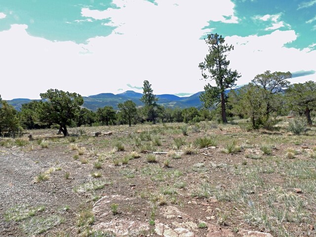222 La Lomita Cir, South Fork, CO 81154 - photo 4