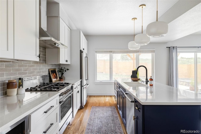 108 Arapahoe St, Golden, CO 80403 - kitchen featuring stainless steel appliances, wall chimney exhaust hood, a sink, backsplash, and light wood-style floors