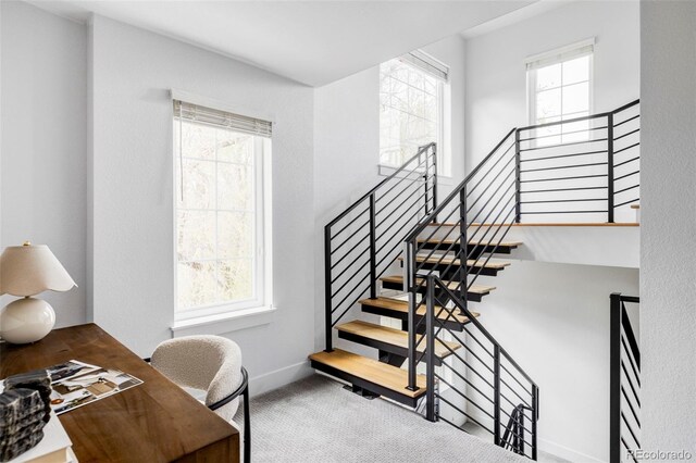 108 Arapahoe St, Golden, CO 80403 - staircase with plenty of natural light, carpet, and baseboards