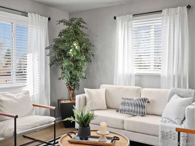 living room with hardwood / wood-style floors