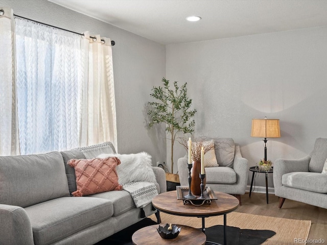 living room with hardwood / wood-style flooring