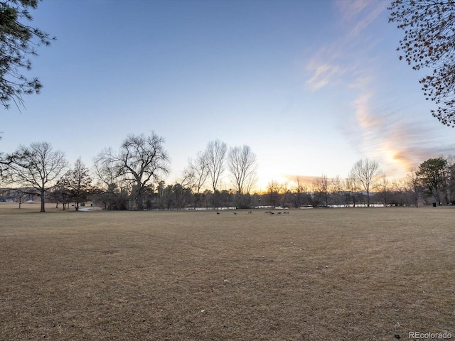 view of yard at dusk