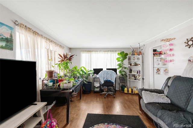 office space featuring wood finished floors