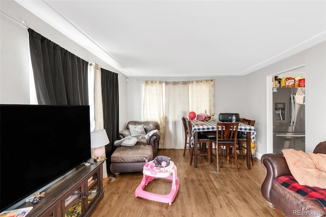 living room with light wood-type flooring