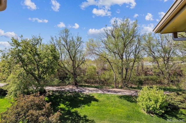 655 S Alton Way Unit 8D, Denver, CO 80247 - view of green lawn