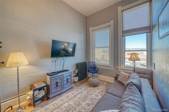 living room with radiator heating unit, baseboards, vaulted ceiling, and wood finished floors