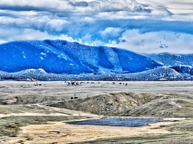238 Ramrod Path, Como, CO 80432