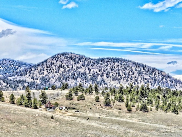 238 Ramrod Path, Como, CO 80432