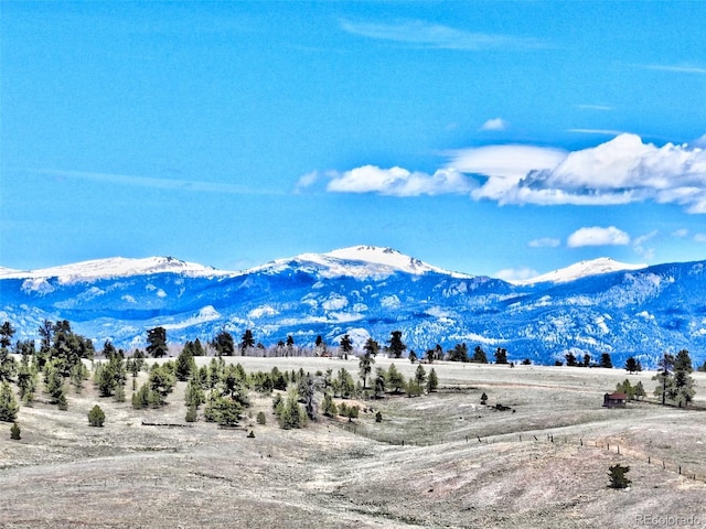 238 Ramrod Path, Como, CO 80432