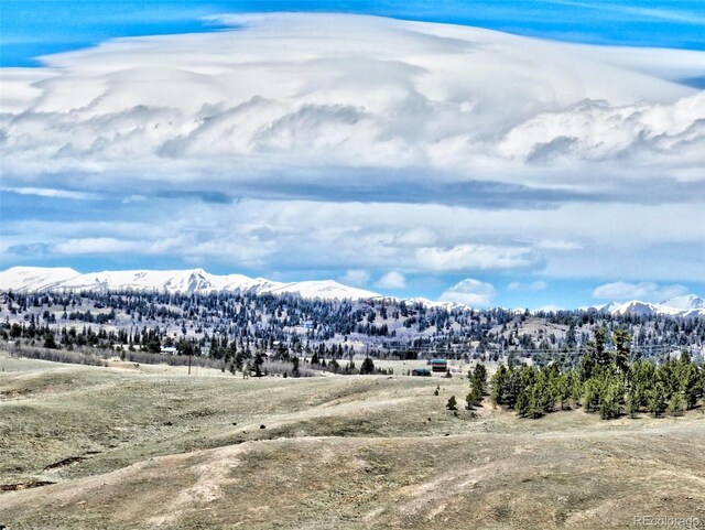 238 Ramrod Path, Como, CO 80432