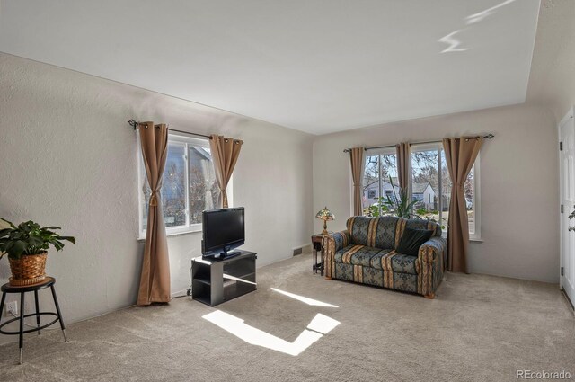 4546 S Logan St, Englewood, CO 80113 - carpeted living area with a textured wall