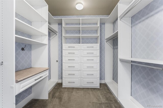 spacious closet with dark colored carpet