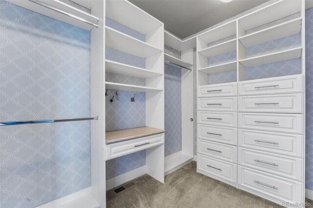 spacious closet featuring light carpet