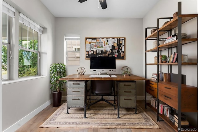 office area featuring ceiling fan and light hardwood / wood-style flooring