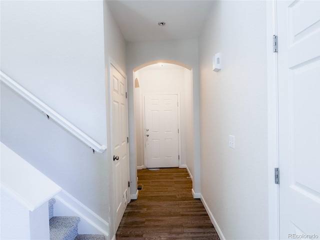 2934 Feather Ct, Castle Rock, CO 80109 - photo 16