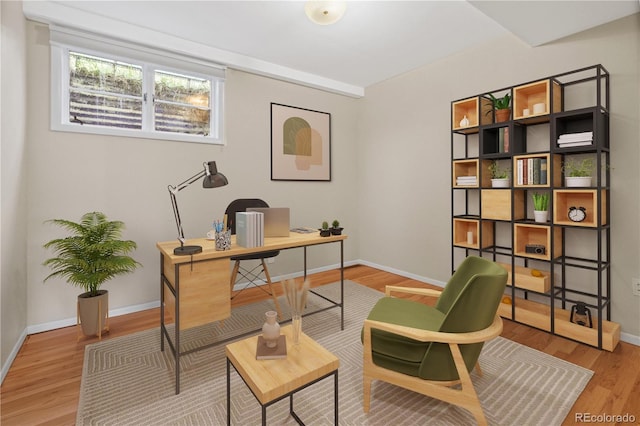 office area featuring hardwood / wood-style floors