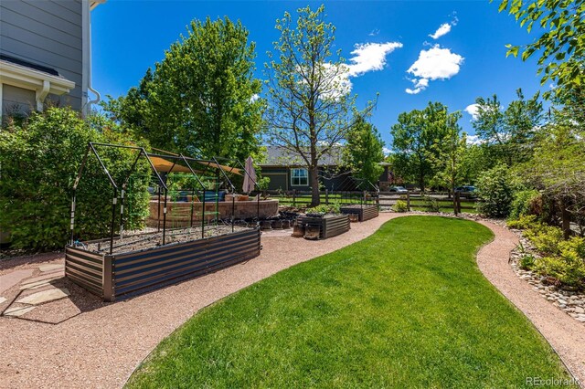 902 Jarvis Dr, Erie, CO 80516 - view of grassy yard featuring a vegetable garden