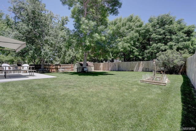 view of yard with a fenced backyard and a patio