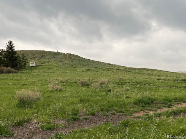 view of local wilderness with a rural view