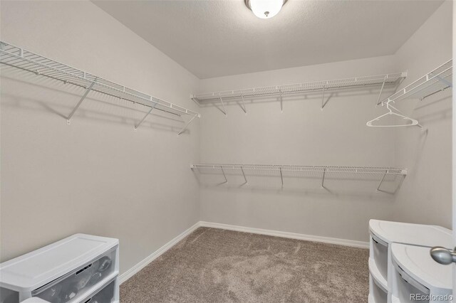 11053 Avena Rd, Peyton, CO 80831 - photo 18