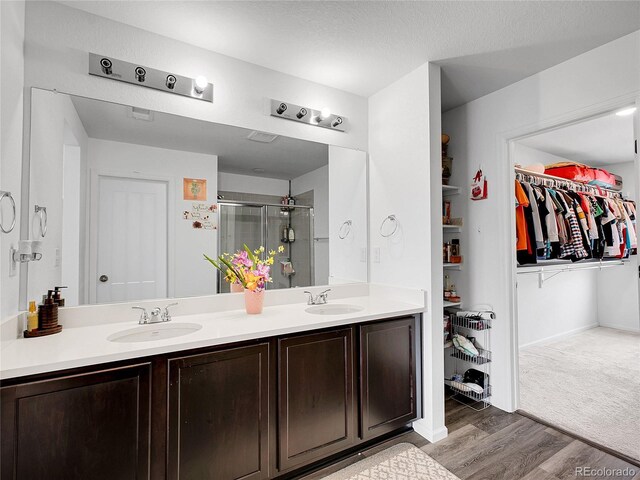 bathroom with a sink, a walk in closet, a stall shower, and double vanity