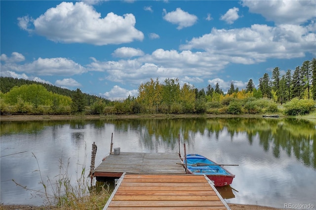 dock area with a water view