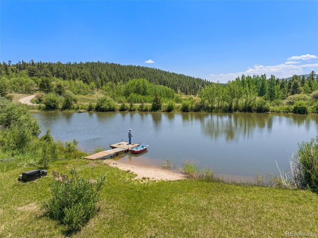 dock area with a water view