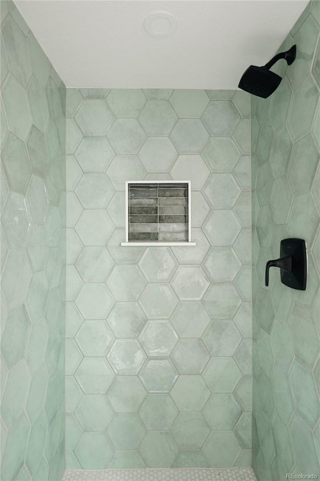 1219 Cherry St, Denver, CO 80220 - bathroom featuring tiled shower