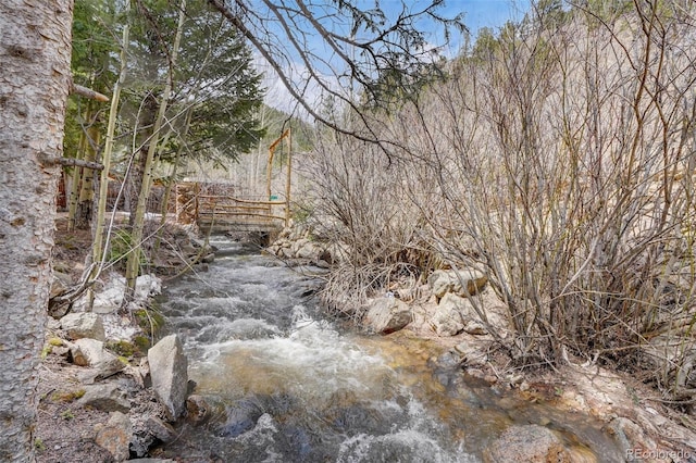 view of local wilderness