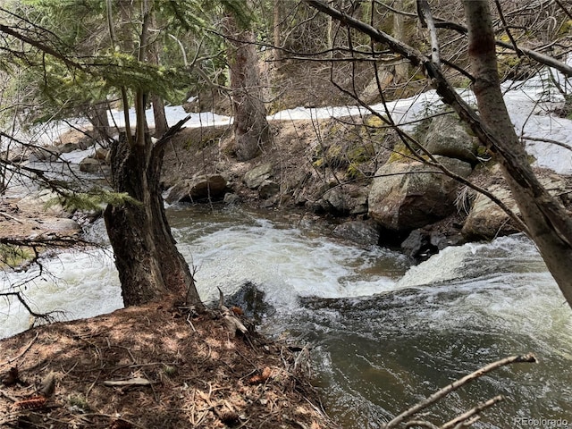 view of local wilderness