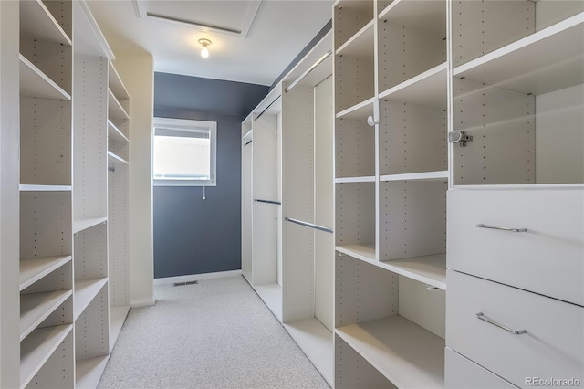 spacious closet with carpet flooring