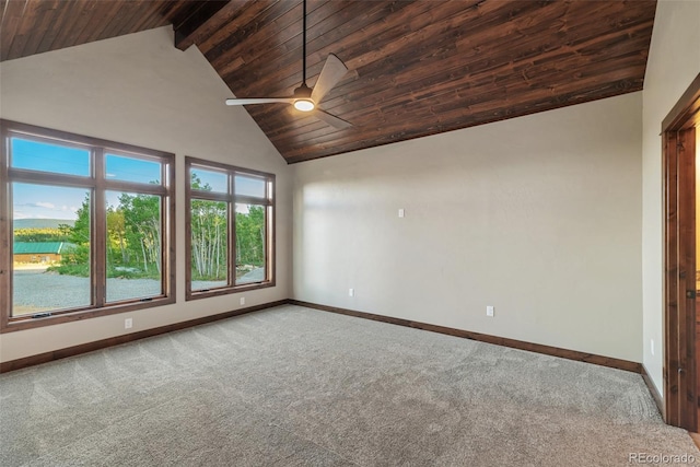 211 Foxtail Ct, Fairplay, CO 80440 - photo 22