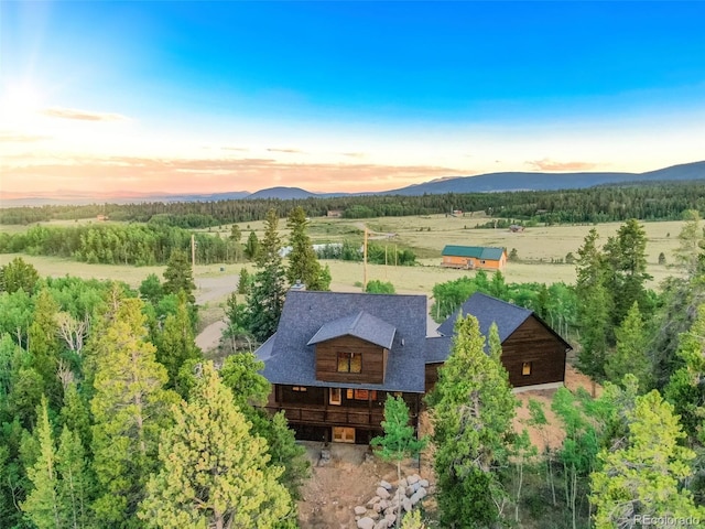 211 Foxtail Ct, Fairplay, CO 80440 - photo 44